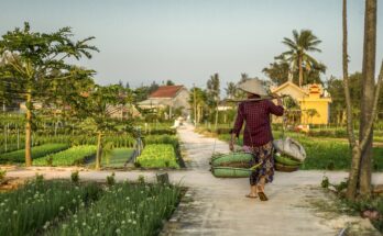 Dominica: what to see and how to travel here