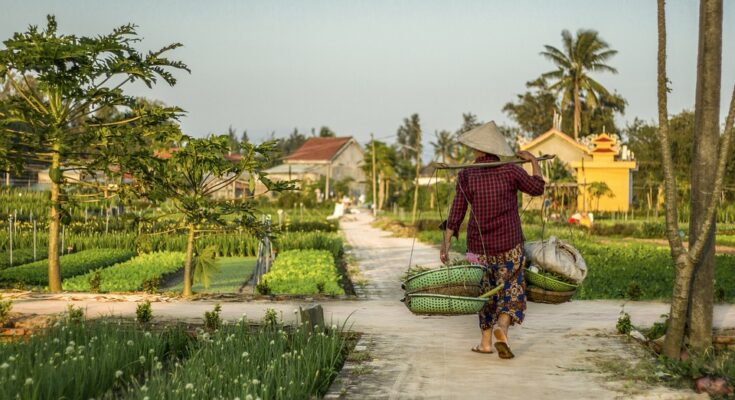 Dominica: what to see and how to travel here